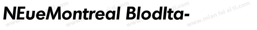 NEueMontreal BlodIta字体转换